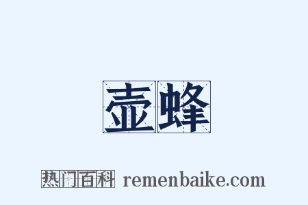 壶蜂是什么意思的图片